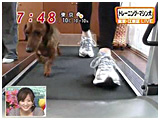 2009N 傤̂񂱑 ʐ^2