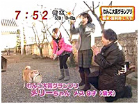 2009N 傤̂񂱑 ʐ^