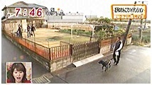 2010N 傤̂񂱑 ʐ^1