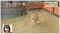 2010N 傤̂񂱑 ʐ^3