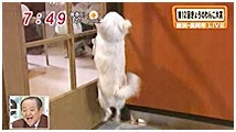 2010N 傤̂񂱑 ʐ^1