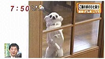 2010N 傤̂񂱑 ʐ^2
