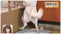 2010N 傤̂񂱑 ʐ^3