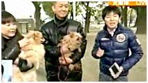 2011N 傤̂񂱑 ʐ^1