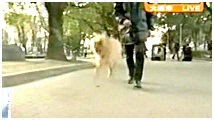 2011N 傤̂񂱑 ʐ^3