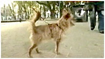 2011N 傤̂񂱑 ʐ^4