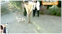 2011N 傤̂񂱑 ʐ^4