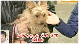 2011N 傤̂񂱑 ʐ^