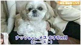 2011N 傤̂񂱑 ʐ^