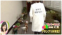 2012N 傤̂񂱑 ʐ^1