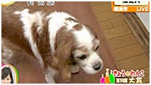 2012N 傤̂񂱑 ʐ^2