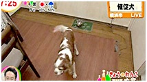 2012N 傤̂񂱑 ʐ^3