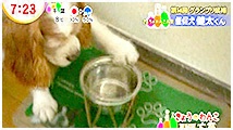 2012N 傤̂񂱑 ʐ^4