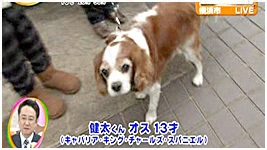 2012N 傤̂񂱑 ʐ^