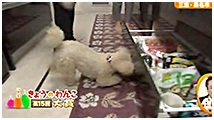 2013N 傤̂񂱑 ʐ^3