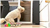2013N 傤̂񂱑 ʐ^4
