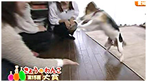 2013N 傤̂񂱑 ʐ^3