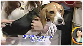2013N 傤̂񂱑 ʐ^