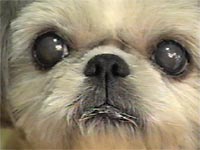 ���� �ʐ^1