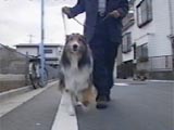 gj[