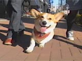 ^Ng
