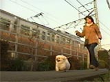 pv