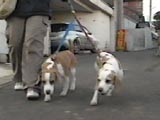 銀