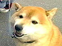 |` ʐ^1