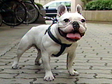 ݂̂ ʐ^5