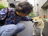 ځX ʐ^3