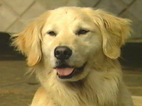 ` ʐ^1