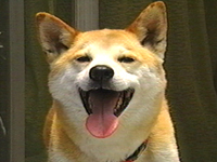 `b` ʐ^1