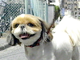 はな 写真2