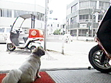 はな 写真4