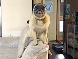 G子 写真5