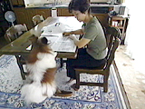 fB ʐ^3