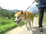 テツ 写真3
