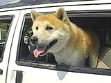 テツ 写真5