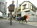 エリオット 写真4