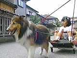 ユウタ 写真4