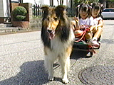 ユウタ 写真5