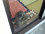 WA ʐ^3