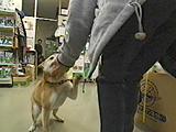 みかん 写真3