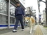 イチロー 写真2