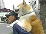 イチロー 写真4