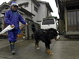 ボス 写真2