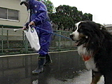 ボス 写真3