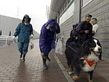ボス 写真4