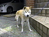 たんく 写真2