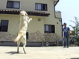 モカ 写真3